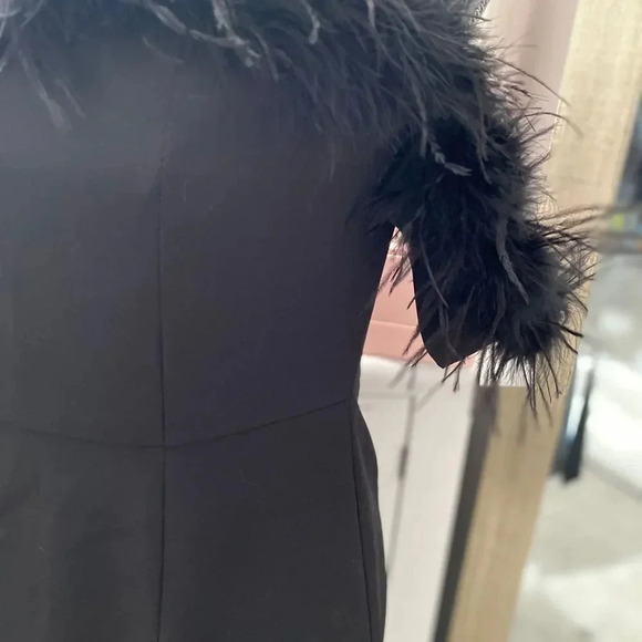 Sleeveless Formal Lined Dress Feather Trim, Size M NWOT - Picture 4 of 7